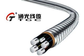 通光线缆预中标2.49亿元国家电网采购项目 通光线缆预中标2.49亿元国家电网采购项目